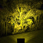 Solar lamp for illuminating gardens and small areas
