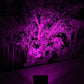 Solar lamp for illuminating gardens and small areas