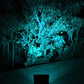 Solar lamp for illuminating gardens and small areas