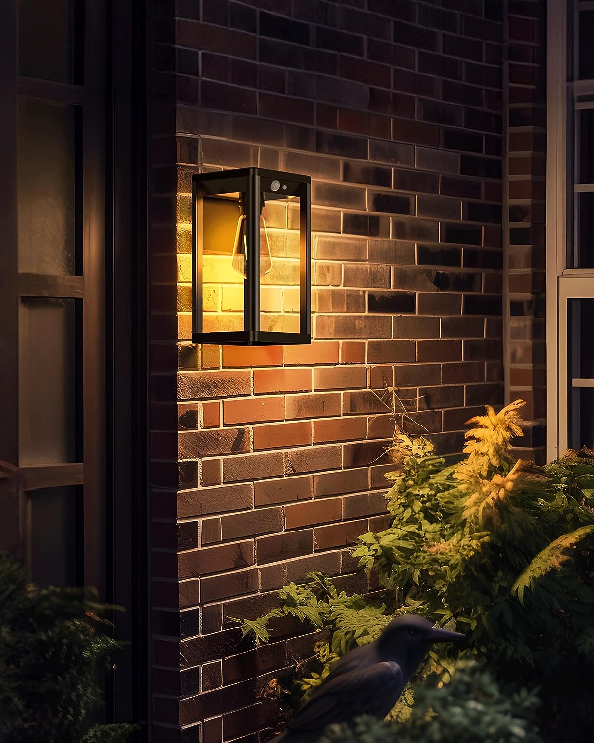 Solar Lamp Model CM BD 01