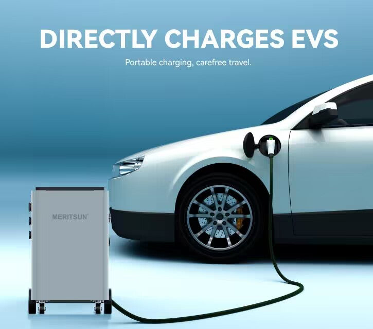Meritsun 6kg portable battery